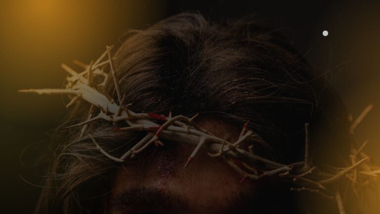 Read more about the article O que significa “Filho de Davi”?